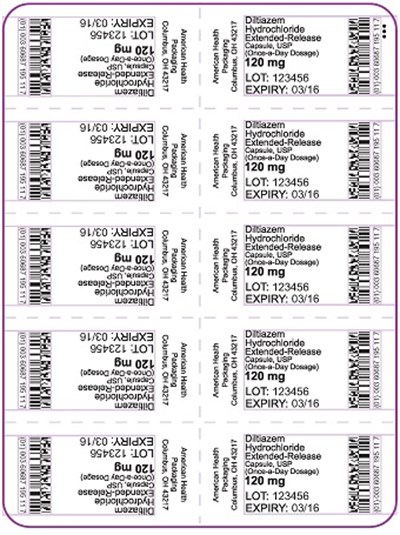 120 mg Diltiazem Hydrochloride Extended-Release Capsule Blister - 120 mg Blister